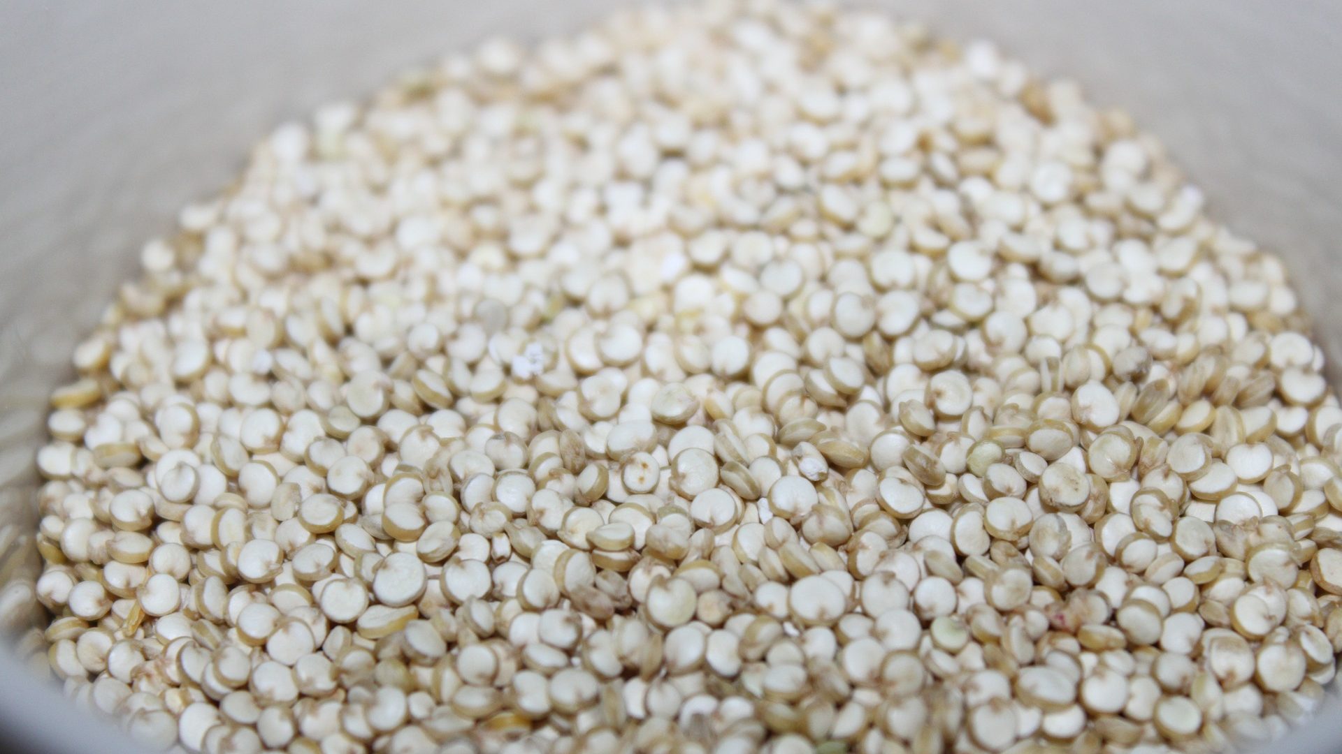 Le Quinoa, concentré de performance pour sportifs?